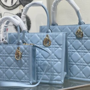 Christian Dior Ladies Bag #00010