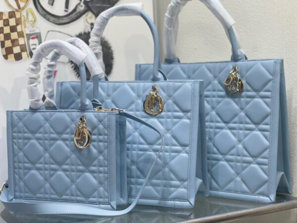 Christian Dior Ladies Bag #00010