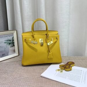 Hermes Curry Leather Birkin Bag