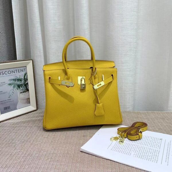 Hermes Curry Leather Birkin Bag