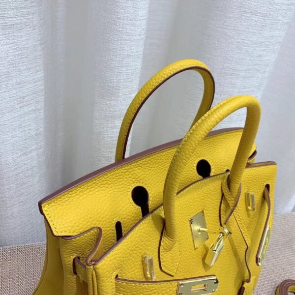 Hermes Curry Leather Birkin Bag - Image 3