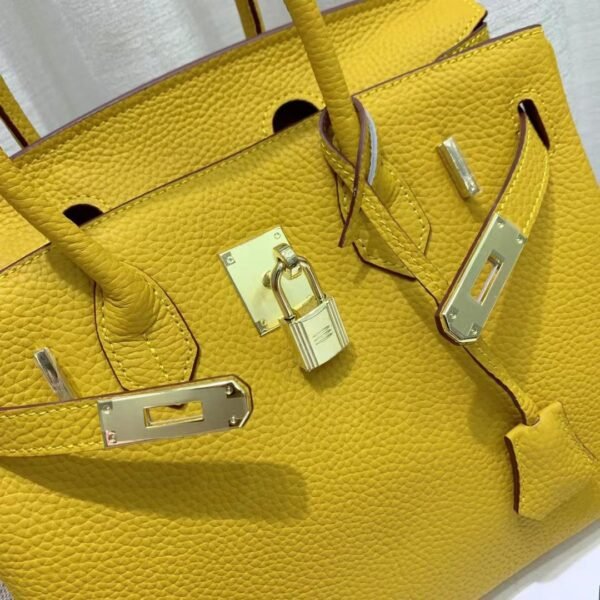 Hermes Curry Leather Birkin Bag - Image 4