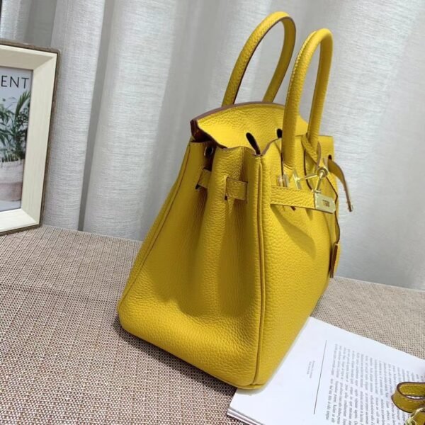 Hermes Curry Leather Birkin Bag - Image 5