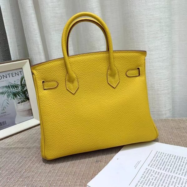 Hermes Curry Leather Birkin Bag - Image 7