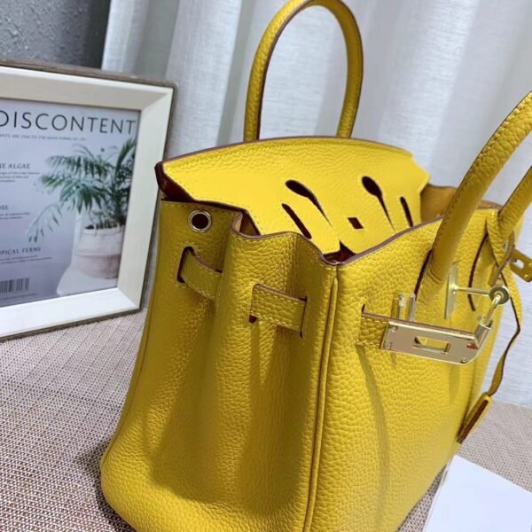 Hermes Curry Leather Birkin Bag - Image 6